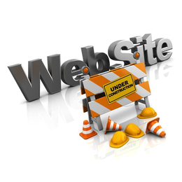 啟強(qiáng)科技*(圖)-網(wǎng)站建設(shè)多少錢-臺(tái)州網(wǎng)站建設(shè)